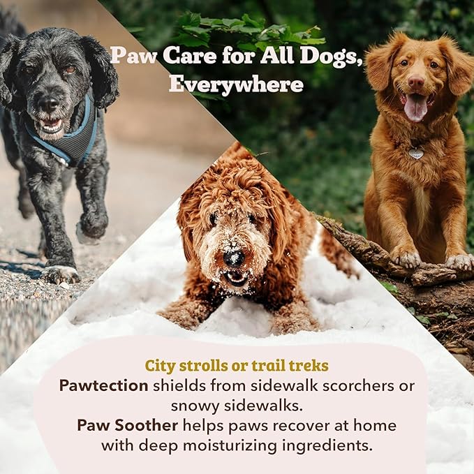 Natural Dog Company Powerhouse Bundle, Includes 5 Healing Balms That Relieve Skin Irritations, Cracked Paws and Dry Noses, Organic, All Natural Ingredients, 5 X 0.15oz Travel Sticks