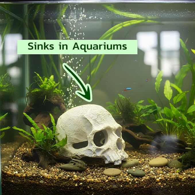Aquarium Human Skull Decor for Betta Fish, Sinking Hide Shrimp Hide | Realistic sinking aquarium skull creates a cave-like betta hideout and shrimp shelter while adding gothic freshwater decor