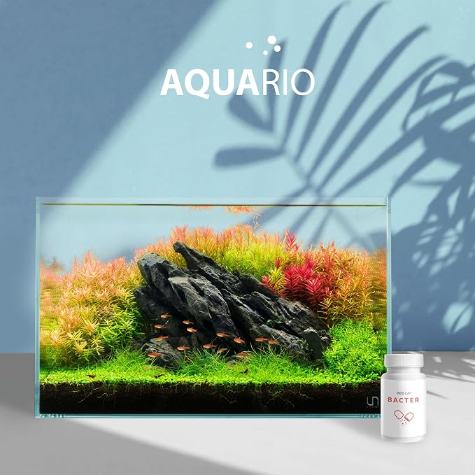 Aquario Neo Cap - Water Conditioner for Aquarium Tank - Enhances Biological Filtration, Improves Water Quality, Safe for Freshwater & Saltwater - Bacter, 20 Capsules