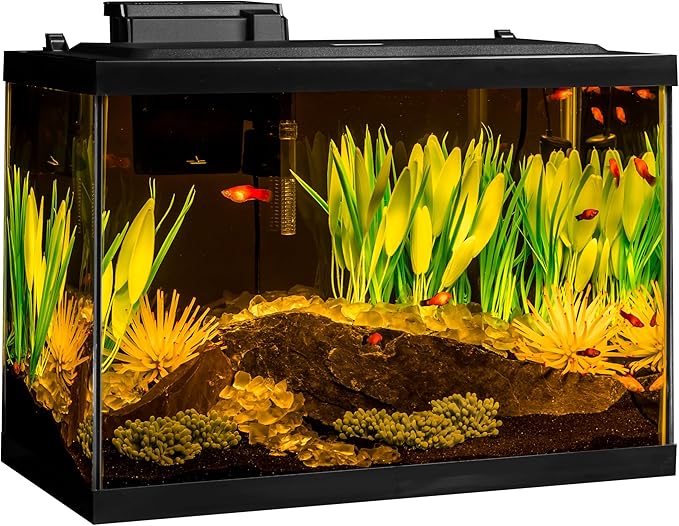 Tetra ColorFusion Aquarium 20 Gallon Fish Tank Kit, Includes LED Lighting and Decor