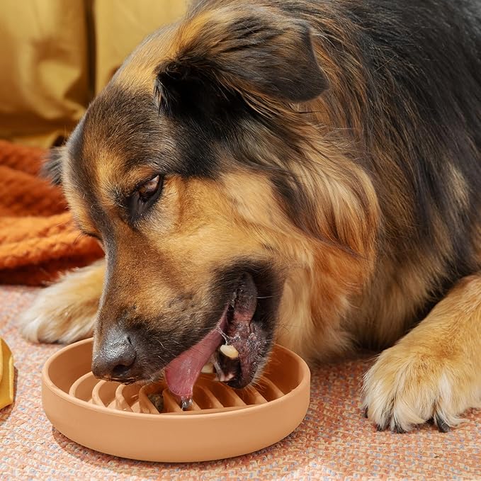 Should We Go? Slow Feeder for Dogs & Puppies, The Slowdown Bowl Silicone Slow Eating Modern Lick Mat Design, Reduces Gulping, Fits 2 Cups 7.5” Across x 1.5” Tall, Mealtime Challenge, Medium-Terracotta