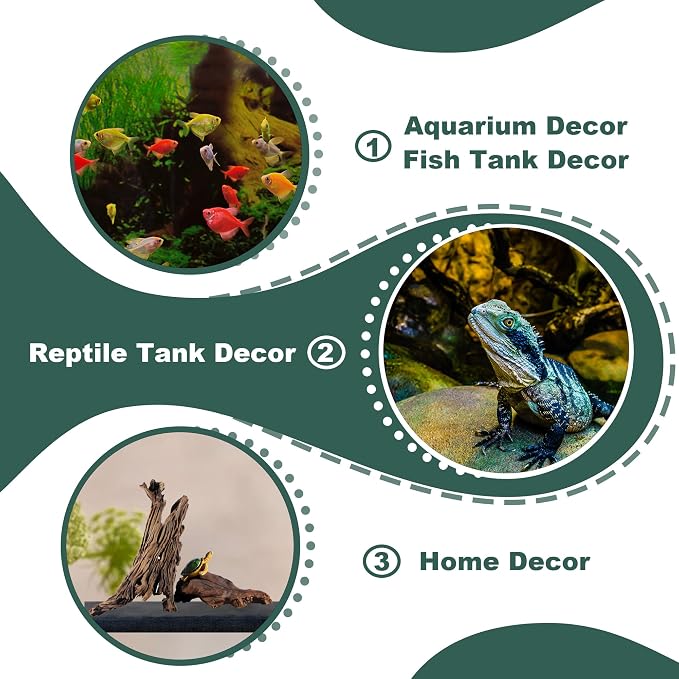 Natural Wood Driftwood for Aquarium Fish Tank Decor,Assorted Driftwood Trunk Branch for Reptile Tank Decor (MOP-ZYM Driftwood (8 to12 Inch)-Pack of 2)