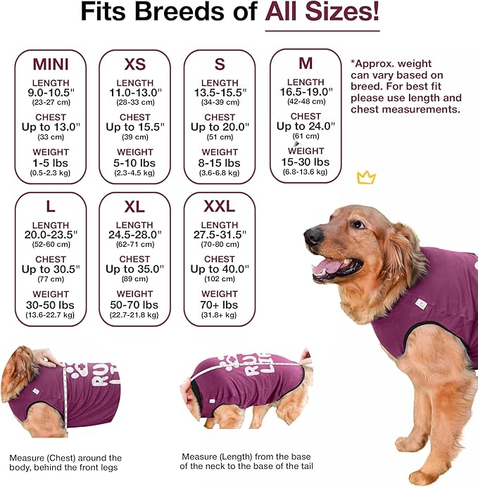 BellyGuard Dog Surgery Recovery Suit, Dog Onesie for Post-Op Care, Recovery Apparel for Female and Male, Surgical Body Cover for Canine Healing Support