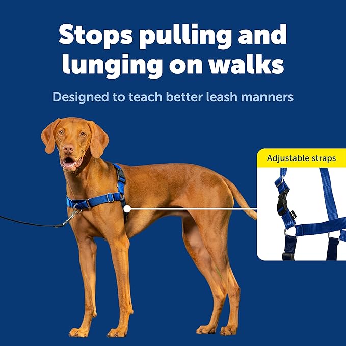 PetSafe Easy Walk No-Pull Dog Harness - The Ultimate Harness to Help Stop Pulling - Take Control & Teach Better Leash Manners - Helps Prevent Pets Pulling on Walks, Medium, Royal Blue/Navy Blue