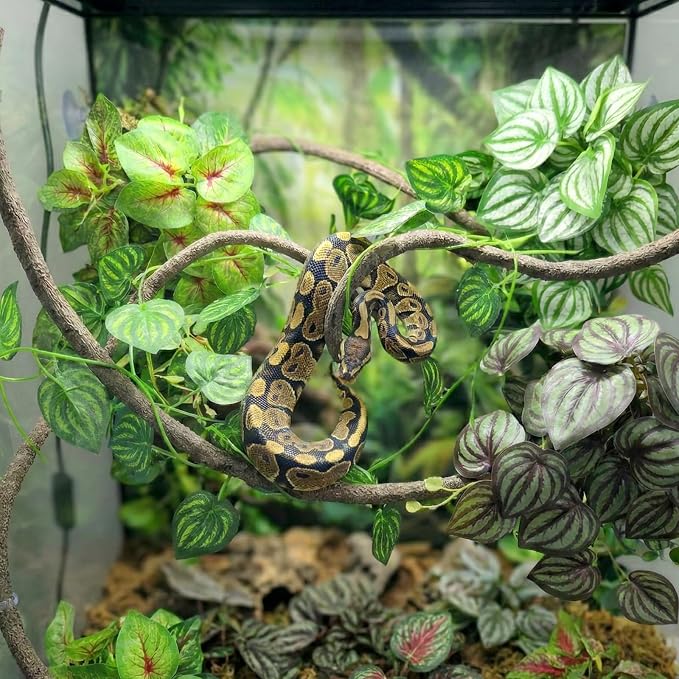 5 Pcs Reptile Plants & Habitat Decor Kit - Artificial Plants & Large 3.3ft Jungle Vine Branch, Artificial Leaves with Suction Cup Tank Decor Accessories for Crested Gecko, Lizard, Snake,Forg,Tortoise