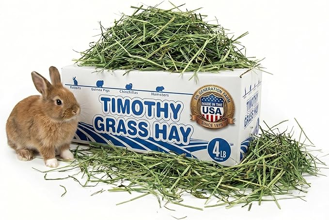 High Desert 2nd Cutting Timothy Hay for Rabbits, Guinea Pigs, Chinchillas and Small Pets, Soft Leafy for Daily Feeding and Digestive Health, Natural Rabbit Food and Guinea Pig Hay for Hay, 4 Lb Box