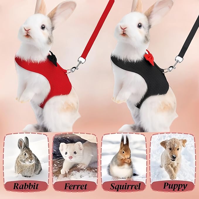 2 Pack Adjustable Bunny Rabbit Harness and Leash Set Breathable Mesh Vest Harness for Rabbits Kitten Ferret Puppy Small Pets Walking Supplies-Black&Red,M