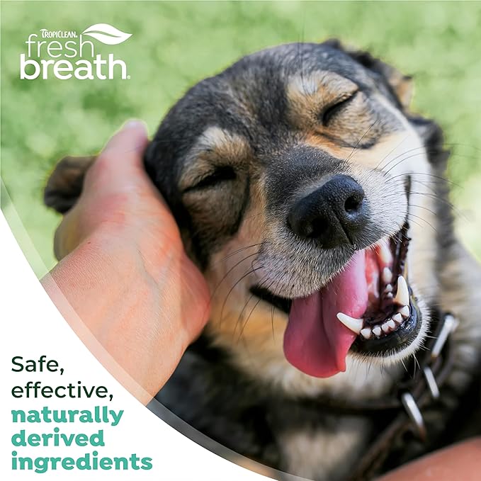 TropiClean Fresh Breath Toothbrush and Toothpaste Kit for Dogs, Teeth Cleaning Kit for Plaque & Tartar Removal, Breath Freshener, Dog Dental Care