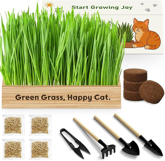 LUOJIBIE Cat Grass Kit for Indoor Cats, Cat Grass Seeds Set, Non-GMO Wheat Grass, Mother' s Day Gifts for Mom, Unique Christmas Birthday Gifts for Women Men Girl, House Warming Gifts for Cat Lover