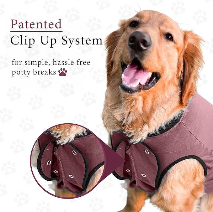 BellyGuard Dog Surgery Recovery Suit, Dog Onesie for Post-Op Care, Recovery Apparel for Female and Male, Surgical Body Cover for Canine Healing Support