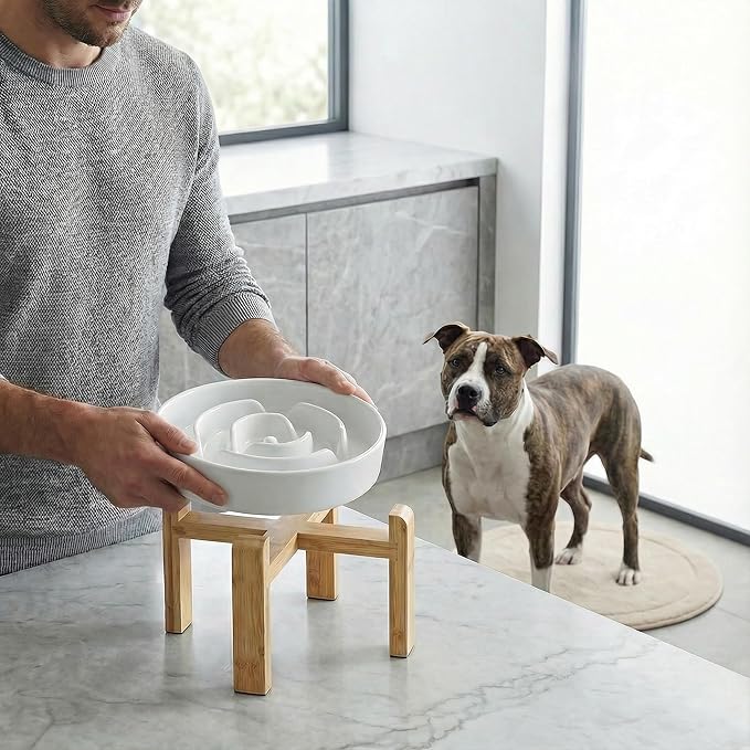 Elevated Slow Feeder Dog Bowl Large Breed, 8.8 Inch Ceramic Slow Eating Bowl with Screw-Assembled Bamboo Stand, Anti-Choking Raised Maze Design for Medium to Large Dogs, 3.2 Cup, White