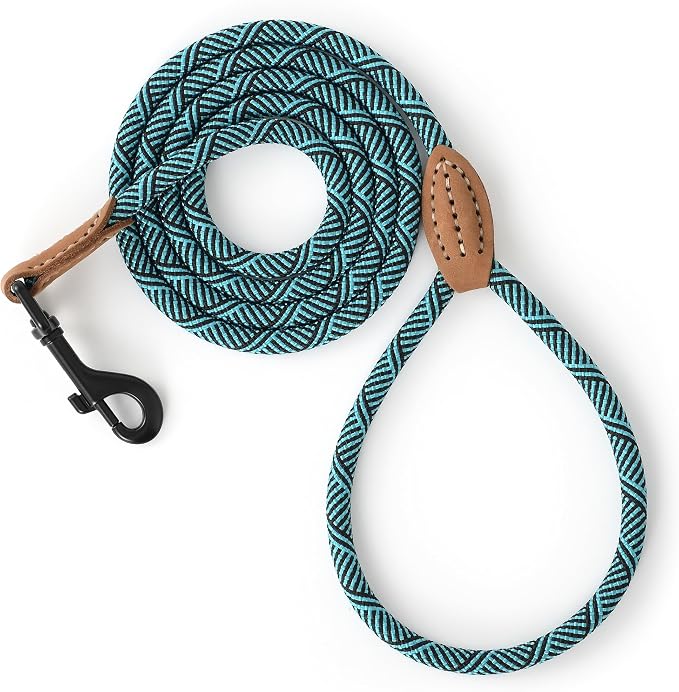 Mile High Life Small Dog Leash, Thin Rope Leash with Genuine Leather Connection and Heavy Duty Metal Clasp, Great for Small Medium Dogs(Turquoise Green, 72 Inch-1/3)
