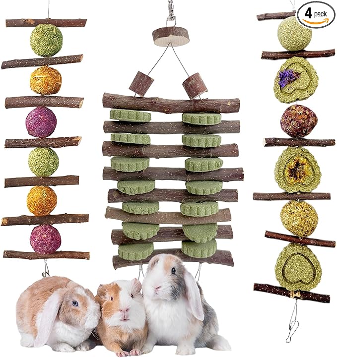 Hamiledyi Bunny Chew Toys Rabbit Hanging Toys for Teeth Grinding Rabbit Toys Natural Fruit Sticks Timothy Grass Cakes Chew Toys and Treats Improve Dental Health for Guinea Pig Hamster Chinchilla
