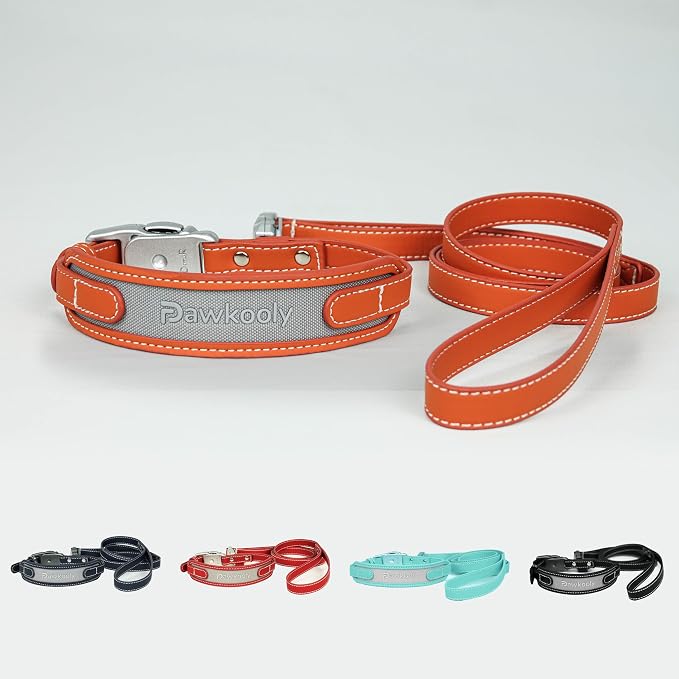 MagEase Dog Collar with 4FT Leash | Adjustable | Anti-Wrinkle, Bite & Stain-Resistant Leather | Soft & Skin-Friendly | 450LB Escape-Proof Magnetic Buckle (Orange, Small)