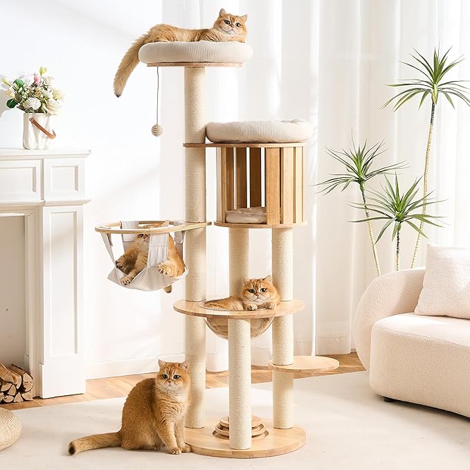HITTITE Solid Wood Cat Tree Tower with Scratching Post, 61 Inches Tall Cat Towers with Capsule and Condo, Modern Cat Tower with Hammock and Removable Top Bed for Indoor Cats.White
