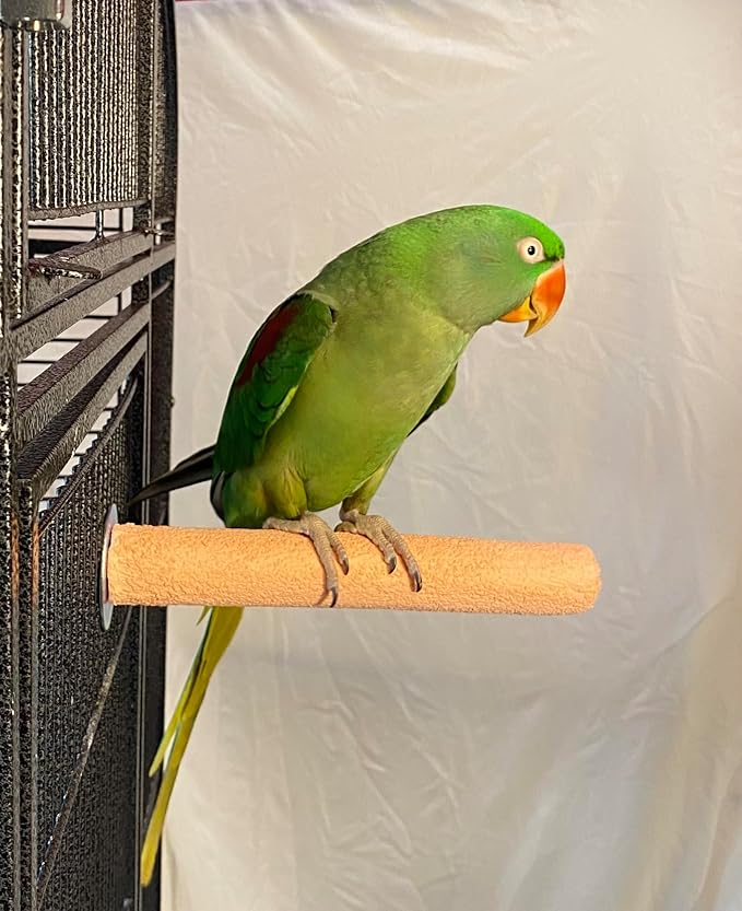 Polly's Pastels Nail Trimming & Beak Conditioning Safety Perch for Cockatiels, Cockatoos, Macaws, Parakeets, Budgies, Parrots and All Other Birds (Coral, Medium-1 1/4" Dia. x 8" Long)