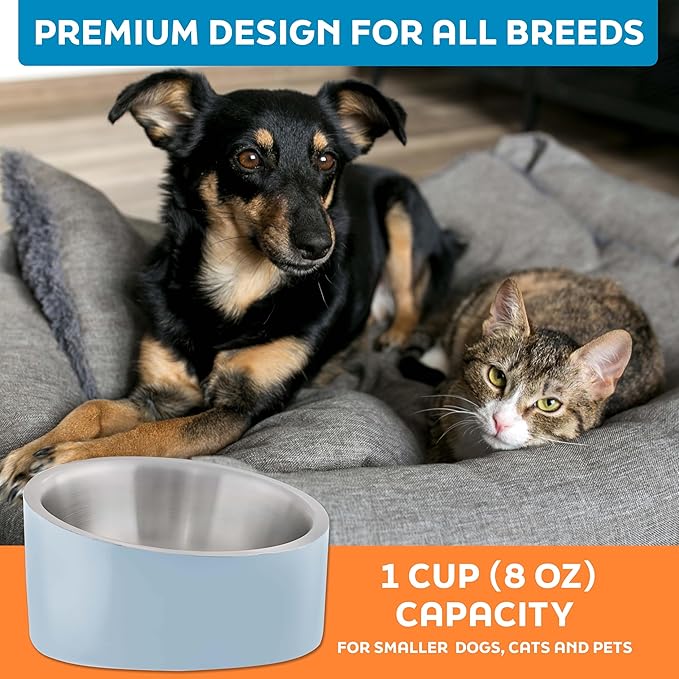 Master Pet Supply Stainless Steel Slanted Dog Cat Food Bowl - 8 oz Heavy Duty - Glacier Blue, Double Wall Insulated, Non-Slip Elevated Bowl for French Bulldogs Pugs Cats, Anti Rust Dishwasher Safe