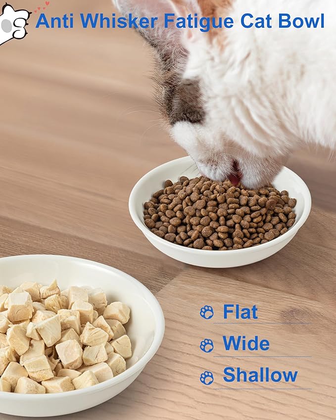 Whisker Friendly Cat Bowls 6 Pack – Non-Slip Ceramic Cat Food Bowls, Shallow Wide Design to Reduce Whisker Fatigue, Dishwasher & Microwave Safe, Heart Pattern