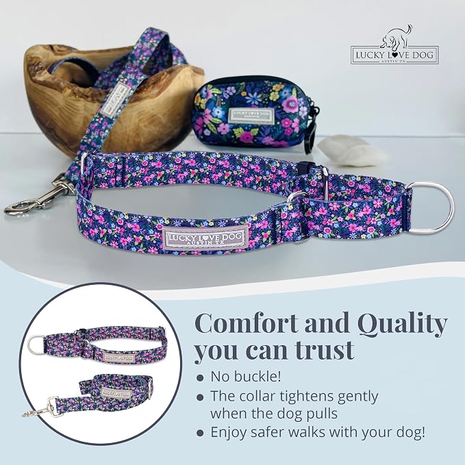 Lucky Love Dog Martingale Dog Collar & Leash - Adjustable, No-Slip, Durable, Comfortable, Soft Webbing, & Stylish Patterned Collar & Leash Set for Male and Female Dogs - Primrose Combo, Large