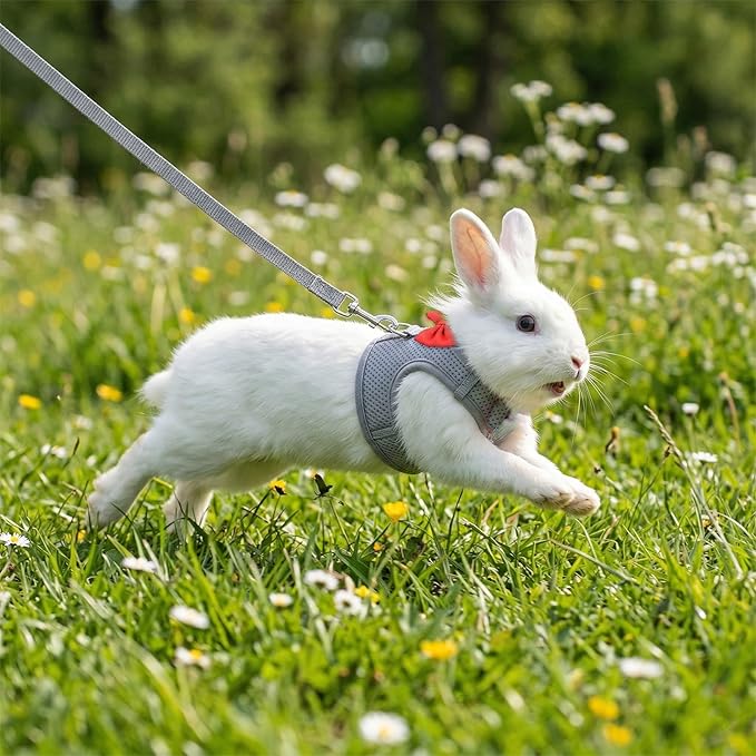 Bunny Leash and Harness Set, Breathable Rabbit Harness Vest, Adjustable Straps Design, Soft Mesh Harnesses for Puppies, Kitten, Guinea Pigs, Grey S