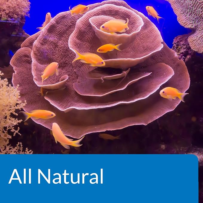 API Marine Stress Zyme Saltwater Aquarium Cleaning Solution 16-Ounce Bottle