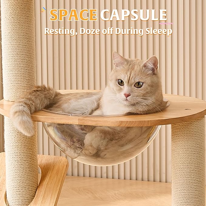 HITTITE Solid Wood Cat Tree Tower with Scratching Post, 37.8 Inches Tall Cat Towers with Scratching Board and Scratcher Ball, Modern Cat Tower With Space Capsule and Removable Top Bed for Indoor Cats.