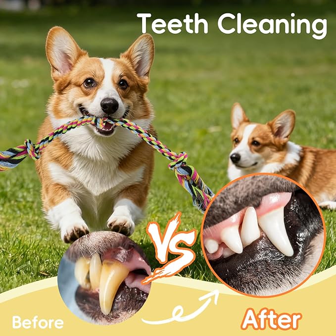 wodoca [4 Pack Dog Rope Toys, Puppy Teething Cotton Knot Chew Rope for Small Medium Dogs, Interactive Tug of War Dog Toys for Boredom, Teeth Cleaning