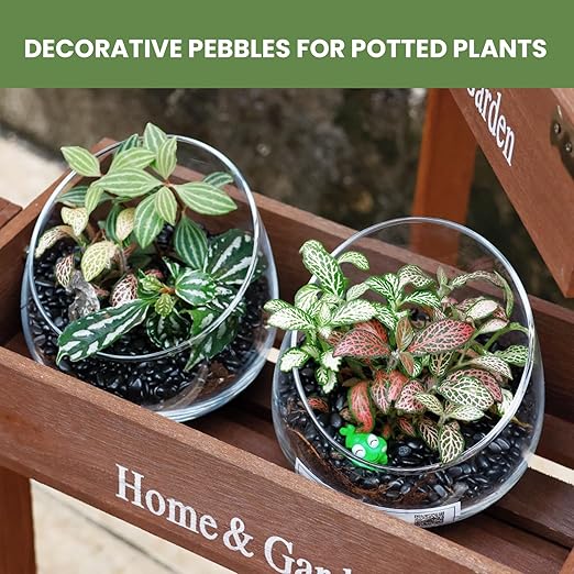 3/8-Inch Plant Decorative Gravel-12 Pounds Natural Black Decorative Pebbles | Smooth and Round, Black and Shiny, Scratch Resistant and Wear-Resistant, Natural Raw Stone