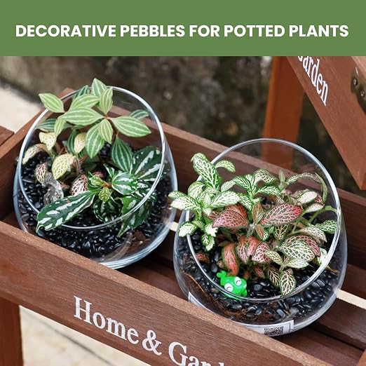 3/8-inch Plant Decorative Gravel -3 pounds Natural Black Decorative Pebbles | Smooth and round, black and shiny, scratch resistant and wear-resistant, natural raw stone