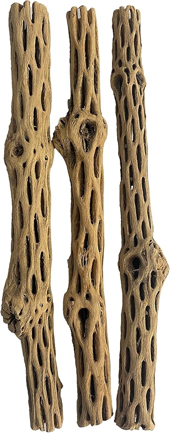 Awesome Aquatic Natural Staghorn Cholla Wood Tubes, 3 Pack, 12 Inch | Biofilm surface Secure hiding places Shrimp habitat Pleco shelter Hermit crab climbing Aquarium décor Terrarium décor