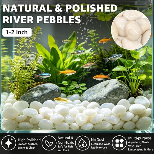1-2" Polished Pebbles, Medium River Rocks for Potted Plants (20lb, White) | Natural River Stones, Highly Polished, for Large Planters & Fountains, Retains Soil Moisture,Approx 160-200 Rocks per 20 Lbs