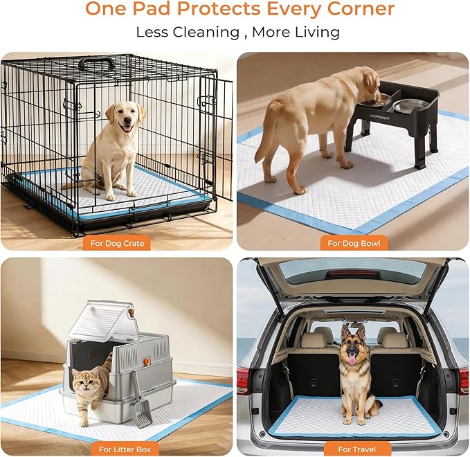 URPOWER Extra Large Dog Pee Pads 36"x 36" 40 Count, 4XL Super Absorbent Puppy Pads Disposable Potty Training Pads for Dogs & Cats, Leak-Proof Wee Wee Pads, Pet Pee Pads for Crate, Sofa