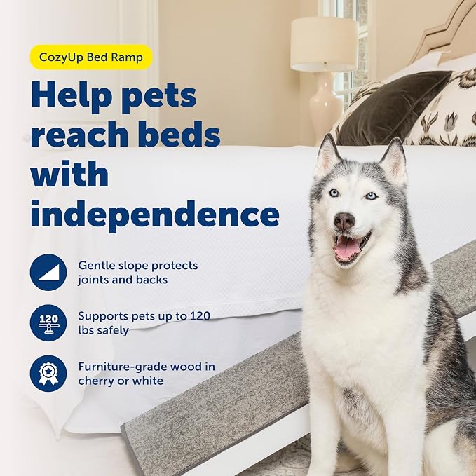 PetSafe CozyUp Wooden Bed Ramp for Cats & Dogs, Furniture-Grade with High-Traction Carpet Surface, White