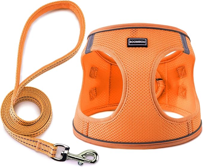 Dog Harness with Leash Set, No Pull Adjustable Reflective Step-in Puppy Pet Vest Harnesses for Small Medium Large Dogs and Cats,Orange L