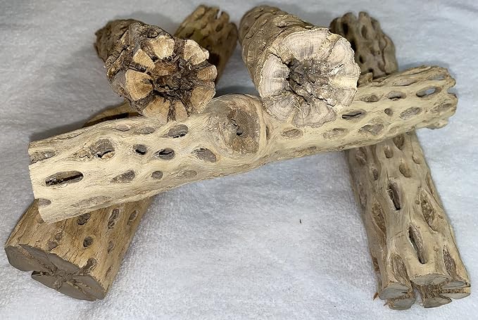 Awesome Aquatic XL Cholla Wood Tubes, Teddy Cane, 12" x 2–3" | XL Hideouts • Hollow tubes • Natural biofilm surface • Secure hideouts • Shrimp plecos hermit crabs reptiles • Natural décor