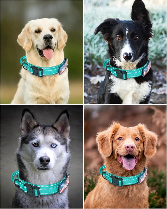 AUBELL Reflective Tactical Dog Collar,Adjustable Military Heavy Duty K9 Collars with Handle and Quick Release Metal Buckle Great for Large Dogs, with Airtag Case and 2 Patches (Teal,L)