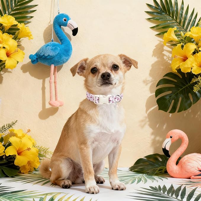DOGWONG Cute Pet Dog Collar Pink Flamingos Cotton Dog Collar- Soft Girl Puppy Adjustable Pet Collars for Small Medium Large Dogs,S