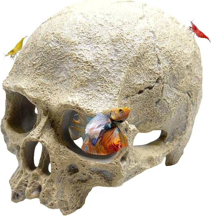 Aquarium Human Skull Decor for Betta Fish, Sinking Hide Shrimp Hide | Realistic sinking aquarium skull creates a cave-like betta hideout and shrimp shelter while adding gothic freshwater decor