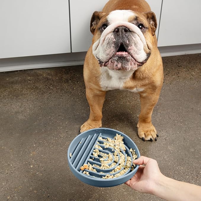 Should We Go? Slow Feeder for Dogs & Puppies, The Slowdown Bowl Silicone Slow Eating, Modern Lick Mat Design, Reduces Gulping, Fits 2 Cups, 7.5” Across x 1.5” Tall, Mealtime Challenge, Medium-Ocean