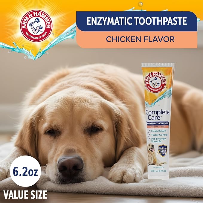 Arm & Hammer Complete Care Enzymatic Dog Toothpaste with Baking Soda and Calcium, Fluoride-Free Chicken Flavor for Plaque, Tartar, and Fresh Breath, 6.2 Oz Value Size