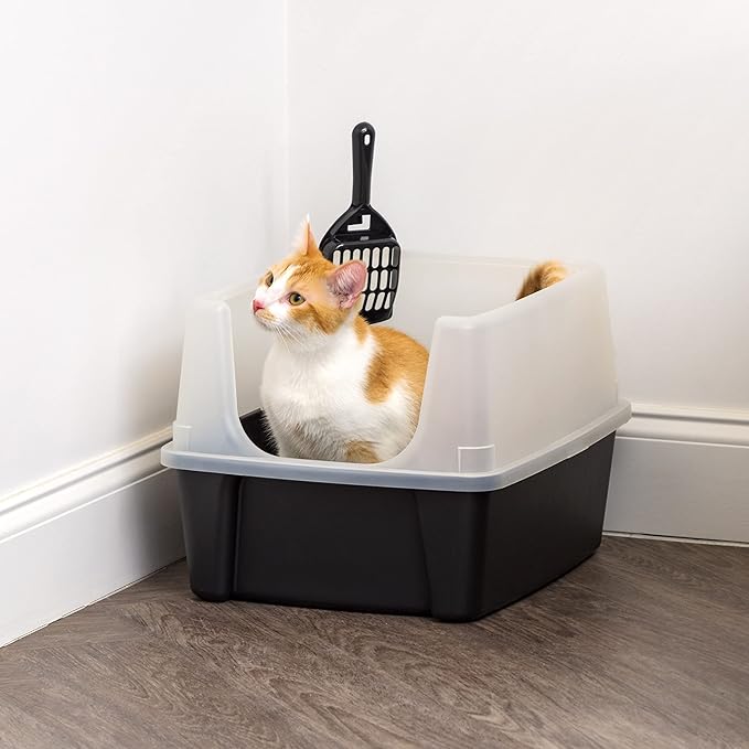 IRIS USA Cat Litter Box Large Open Top with High Sided Walls Tall Scatter Shield Scoop Included Easy Clean Plastic Pan Stain Resistant for Big Cats Kittens Indoor Multi-Cat Households