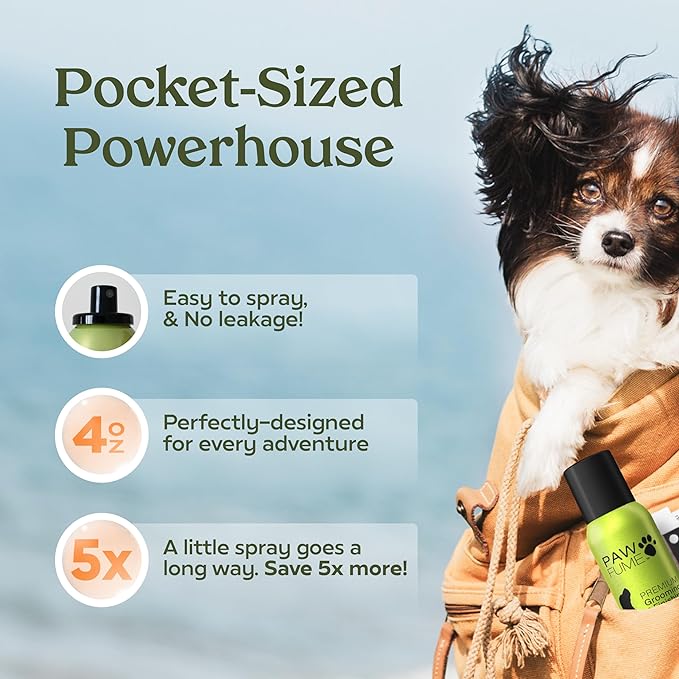 PAWFUME Dog Perfume Spray Long Lasting Scent for Grooming, Show Dog, 1-Pack – Keep Your Pup Fresh All Day – Hypoallergenic, Alcohol-Free, Detangling Formula – Moisturizing Pet Cologne Spray for Dogs