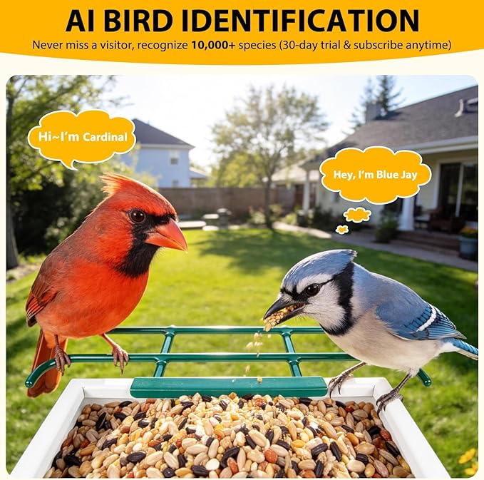 Smart Bird Feeder with Camera 2.5K HD, BOLITE Bird House for Outdoors, AI Auto-Capture & Motion Detection, Weatherproof Camera, Solar Powered, Great for Men Women Mom Dad & Bird Lovers, Green