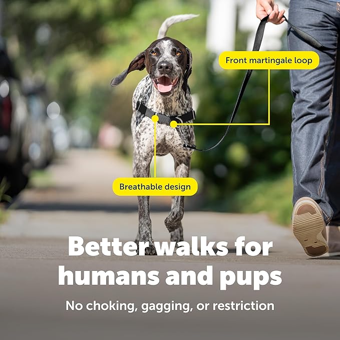 PetSafe Easy Walk Harness for Dogs - Pull-Free Walks - Patented Martingale Loop Design - Front Chest Leash Attachment - Comfort Straps - Breathable Harness Design - Medium/Large, Fawn