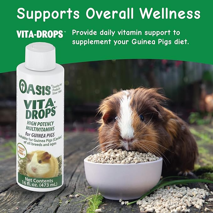 Oasis Guinea Pig Vitamins Vita Drops All-in-1 Multivitamins - Daily Vitamin Supplement Supports Healthy Bones & Teeth, Joints & Digestion, Promotes Healthy Skin Coat, 16-Ounces