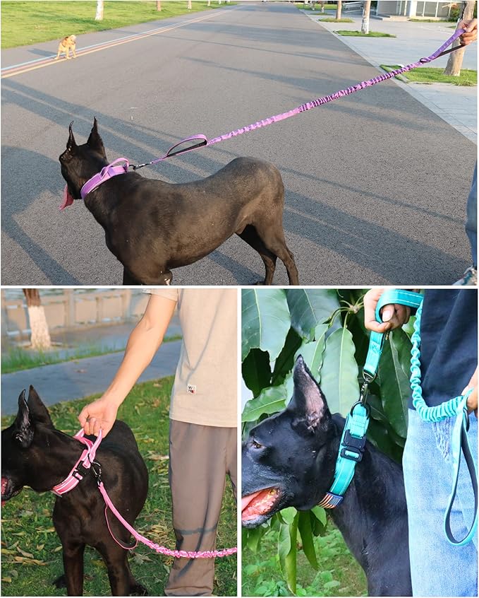 AUBELL Tactical Dog Collar and Leash Set, Reflective Adjustable Heavy Duty Military K9 Collars with Handle and Metal Buckle for Large Dogs, with Airtag Case and 2 Patches(Purple,L)