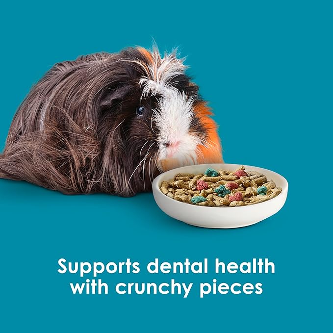 Kaytee Forti-Diet Pro Health Nourish+Protect Guinea Pig Food, Comprehensive Nutrition Backed by Science, Digestive Health, Immune Support, 5 pounds