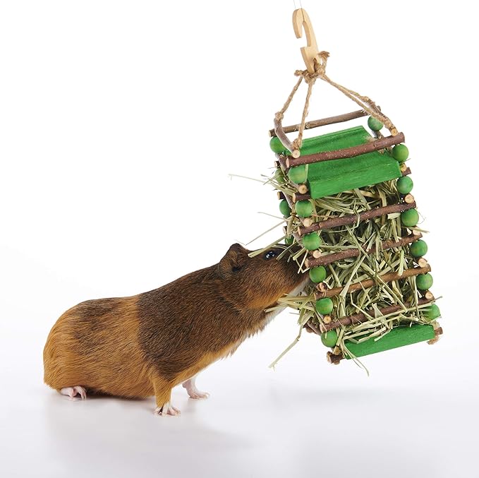 Oxbow Enriched Life Apple Stick Hay Feeder, Rabbit Toys, Guinea Pig Toys, Enrichment for Bunny, Guinea Pig, Hamster, Rabbit, Chinchilla, Chinchilla Cage Accessories, Small Pet Accessories for Cage