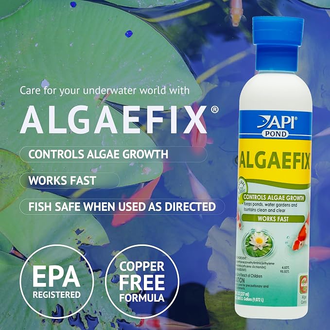 API POND ALGAEFIX (32 fl oz) Pond Algae Control - Copper Free - Clean, Clear Water - Up to 9600 Gallons - Safe for Fish & Plants - Water Gardens, Fountains - Natural Active Ingredient - EPA-Registered
