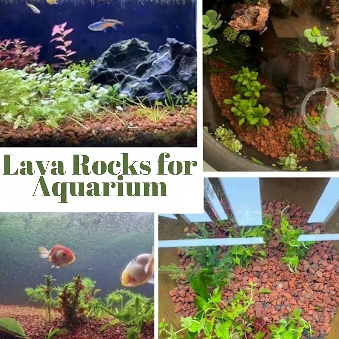 2.4LB Red Lava Rocks for Plants, Volcanic Rock Horticultural Lava Rock Soil for Landscaping Plants Drainage, Small Lava Rock Gravel for Succulents, Bonsai, Vase Fillers, Terrarium Plants, Top Dressing